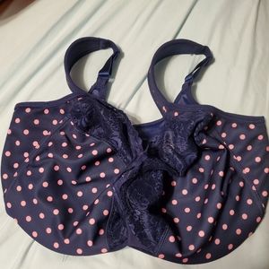 New plus size bra